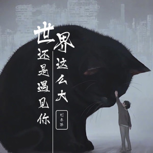 Album 世界这么大还是遇见你 from 刘亦泽