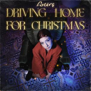 Fotini的專輯Driving Home For Christmas