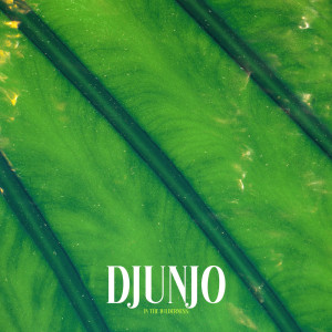 Album In the Wilderness oleh Djunjo