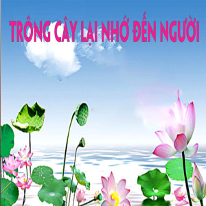 ดาวน์โหลดและฟังเพลง Hoa trong vườn Bác พร้อมเนื้อเพลงจาก Lê Dũng