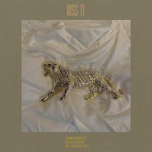 ดาวน์โหลดและฟังเพลง Kiss It (Explicit) พร้อมเนื้อเพลงจาก Toni Romiti