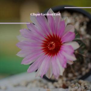 ดาวน์โหลดและฟังเพลง Featured Hitman พร้อมเนื้อเพลงจาก Mayce Dilo