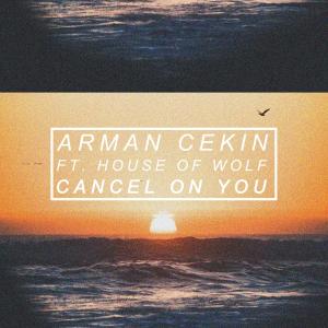 Arman Cekin的專輯Cancel on You (Explicit)