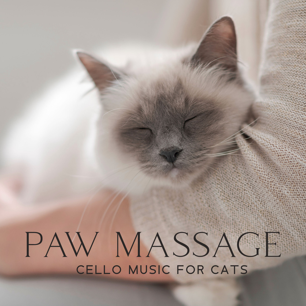 Classical Cello Music