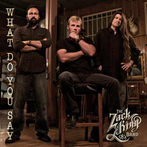 Listen to What Do You Say song with lyrics from Zack King