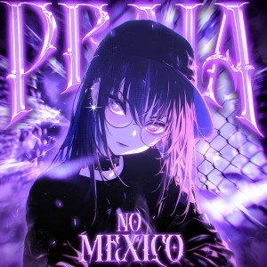 收聽WhxteSxde的PRAIA NO MÉXICO歌詞歌曲
