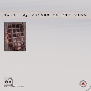 Karin My的專輯Voice in the wall