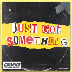 Listen to Just Got Something song with lyrics from Codeko