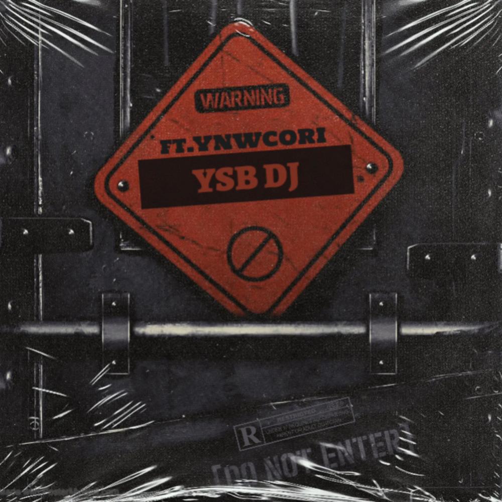 WARNING! (feat. Ynwcori) (Explicit)