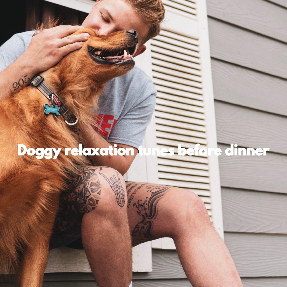 Soulful Ambiance for The Sleepy Dogs