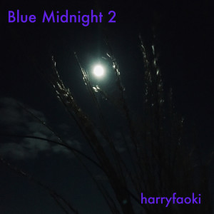 harryfaoki的专辑Blue Midnight 2