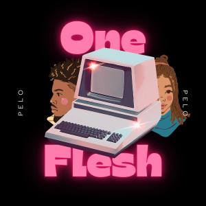 ดาวน์โหลดและฟังเพลง One Flesh พร้อมเนื้อเพลงจาก Pelo