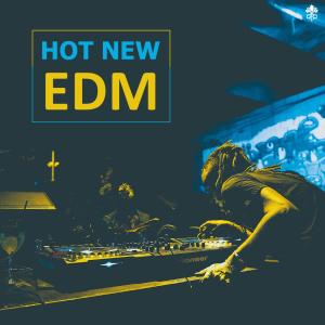 Various的專輯Hot New EDM