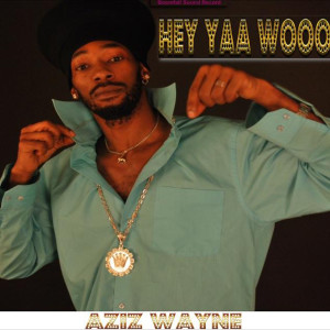 收聽Aziz Wayne的Hey Yaa Wooo歌詞歌曲