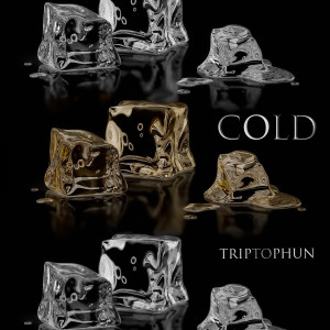 ดาวน์โหลดและฟังเพลง Cold พร้อมเนื้อเพลงจาก Triptophun