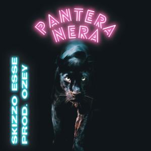 Listen to Pantera Nera song with lyrics from Skizzo Esse