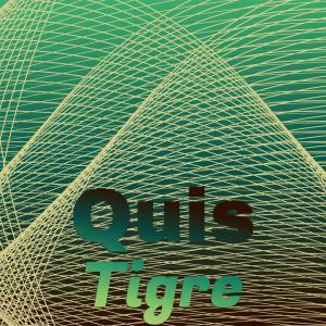 Album Quis Tigre oleh Various