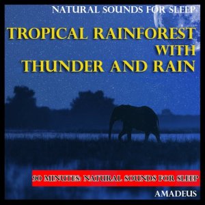 收聽群星的Natural Sounds for Sleep: Tropical Rainforest with Thunder and Rain歌詞歌曲