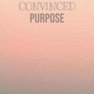 Various Artists的專輯Convinced Purpose