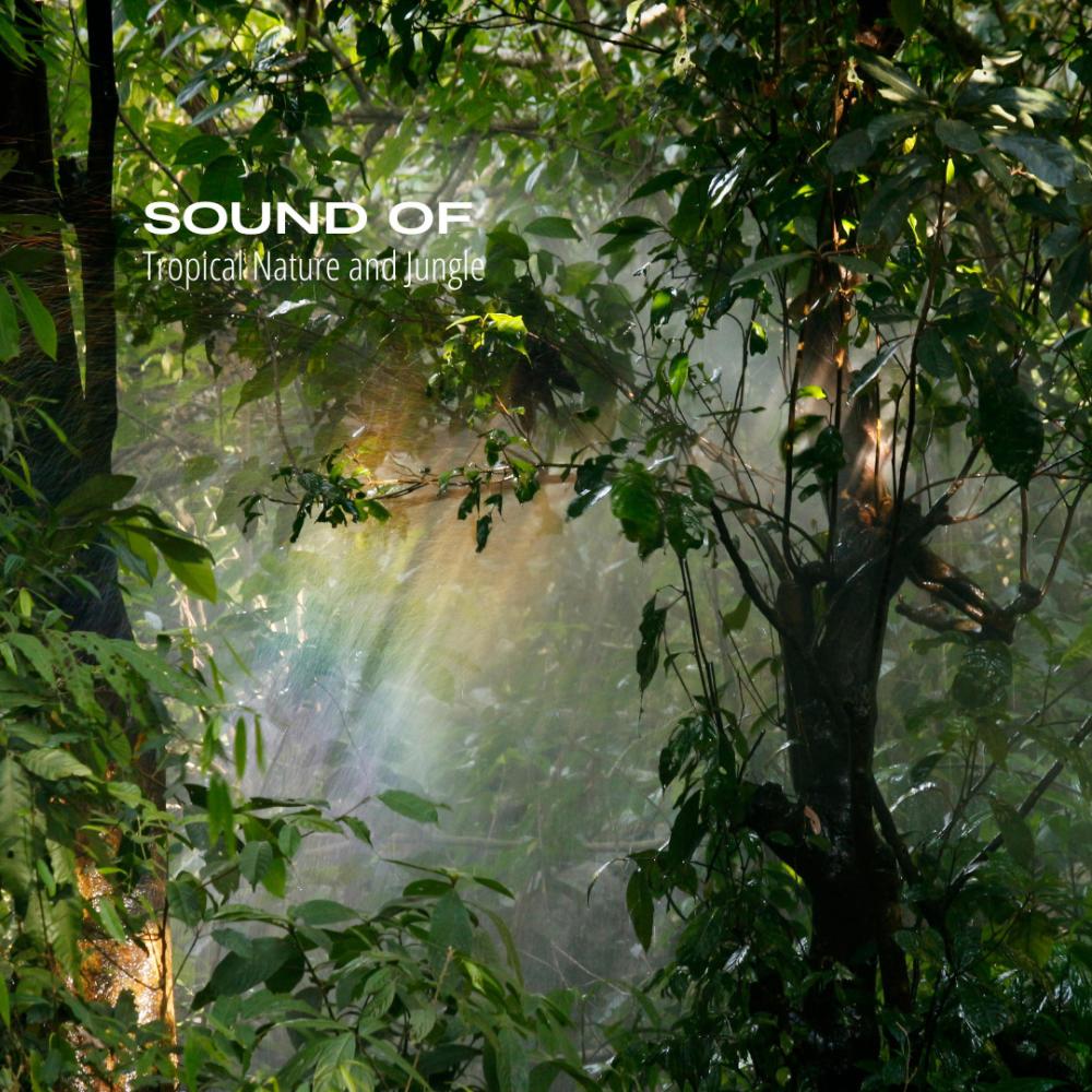 Tropical Nature and Jungle Birds (feat. Acoustic)