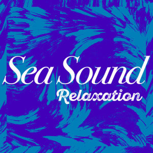 收聽Sea Sounds 2016的Waves: The Sea歌詞歌曲