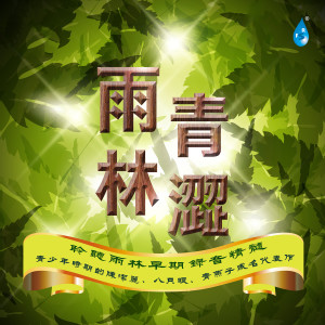 Album 青涩雨林 from 雨林音乐