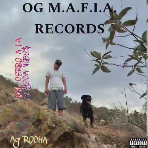 Ag Rocha的專輯Domingo (Explicit)