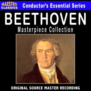 ดาวน์โหลดและฟังเพลง Fidelio Overture: I. Allegro ma non troppo พร้อมเนื้อเพลงจาก ดารานักร้องหลายคน