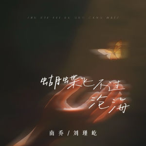 南乔的专辑蝴蝶飞不过沧海