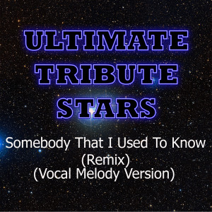 收聽Ultimate Tribute Stars的Gotye feat. Kimbra - Somebody That I Used To Know (Vocal Melody Version) (Remix)歌詞歌曲