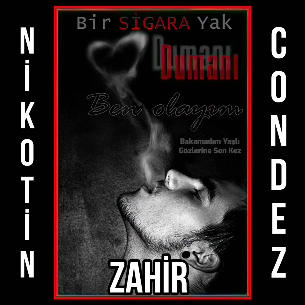 Bir Sigara Yak Dumanı Ben Olayım (Bakamadım Yaşlı Gözlerine Son Kez)