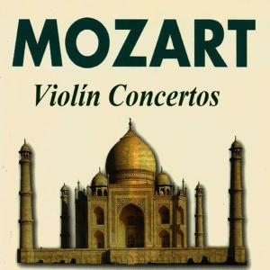 Leningrad Soloists的專輯Mozart - Violín Concertos