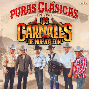 收聽Los Carnales de NuevoLeón的Tu Infame Engaño (En Vivo)歌詞歌曲