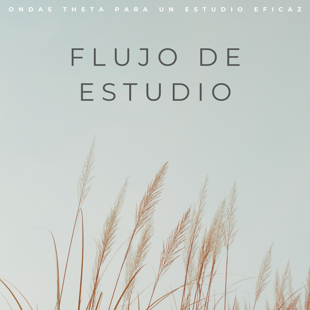 Ayuda De Estudio De Onda Theta