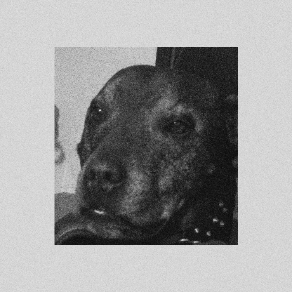 Charcoal Feather (Explicit)