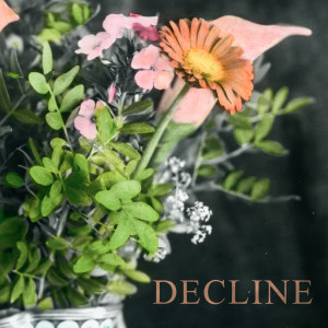 Album Decline from Pish