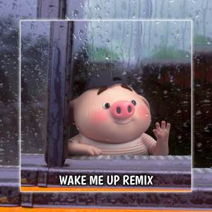 收听DJ PALSU的Wake Me Up Remix歌词歌曲