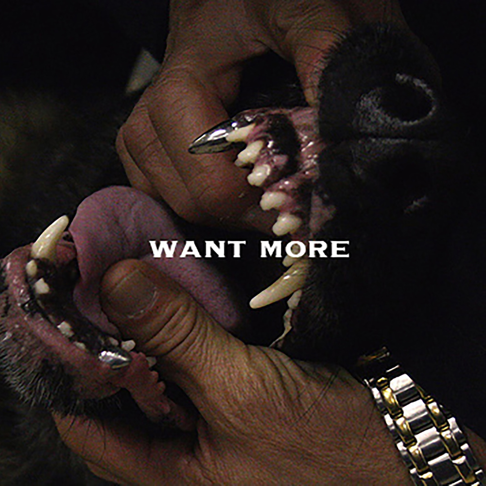 Want More (Explicit)