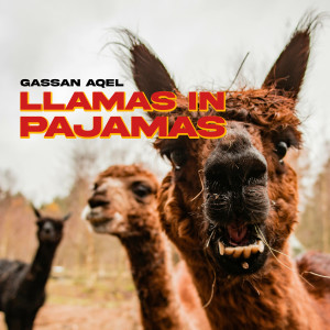 Album Llamas in Pajamas from Gassan Aqel