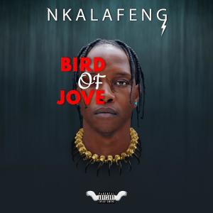 ดาวน์โหลดและฟังเพลง YMNNA/You Might Need An Aspirin (Explicit) พร้อมเนื้อเพลงจาก Nkalafeng