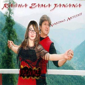Listen to Yu Pukhtoon Zalmi song with lyrics from Waheed Achakzai