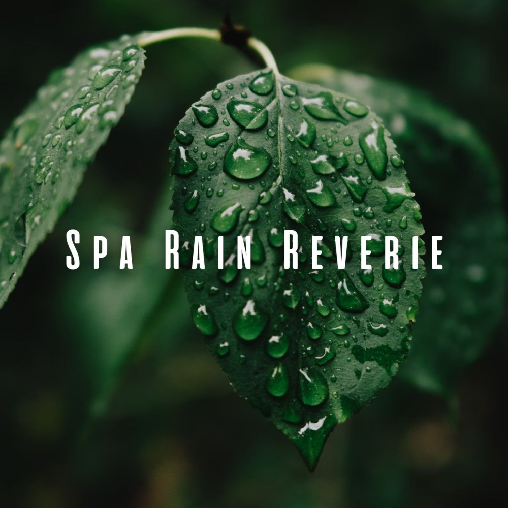 Gentle Rainfall Tunes