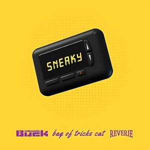 Bag of Tricks Cat的專輯Sneaky (feat. Bag of Tricks Cat) [Instrumental]