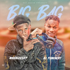 Niggaleesky的專輯Big Bag (Explicit)