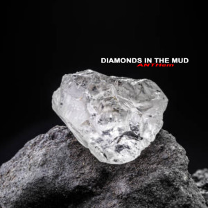 Diamonds in the Mud dari Anth