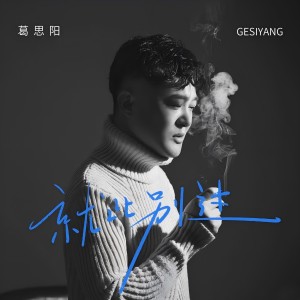 Listen to 就此别过(DJ翊轩版) (完整版) song with lyrics from 子枫