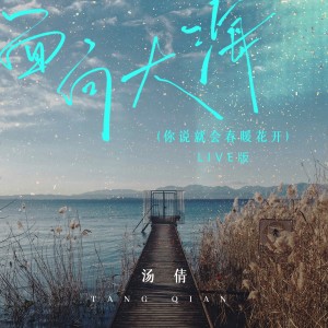 Album 面向大海(你说就会春暖花开)(Live版) oleh 汤倩
