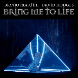 Bring Me To Life dari Bruno Martini