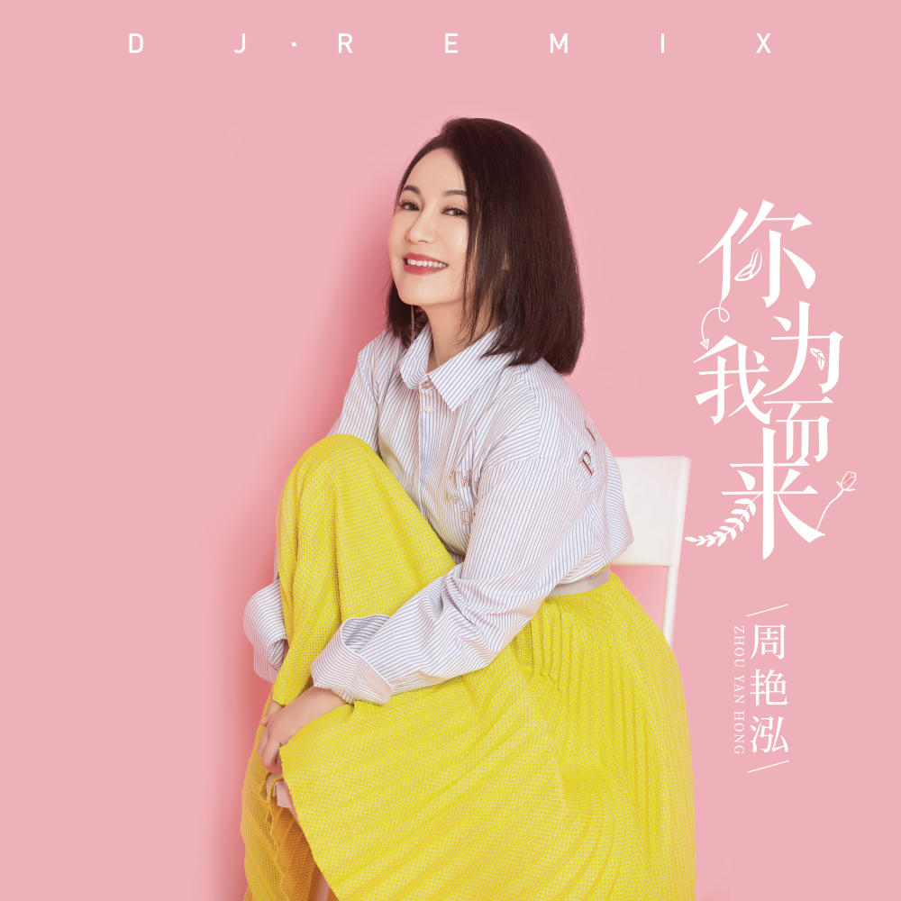 你为我而来(DJ Remix)（伴奏）