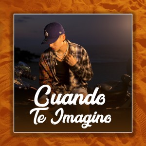 Listen to Cuando Te Imagino song with lyrics from Soyneel
